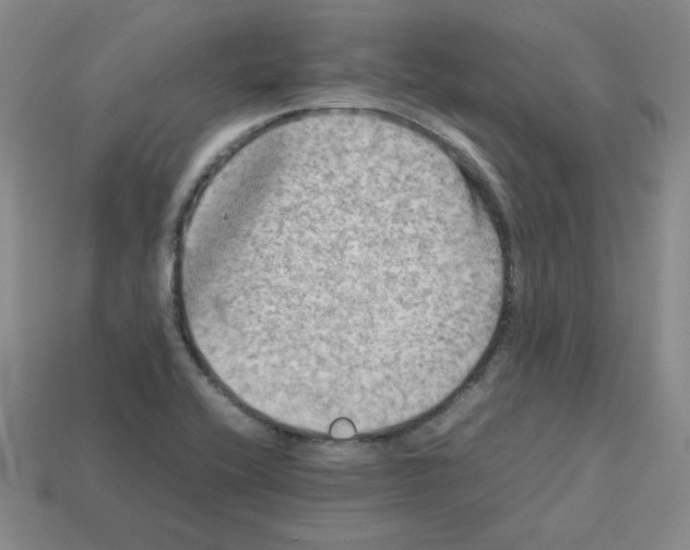 X0000112771416200910011227