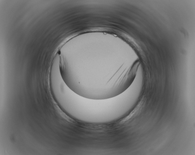 X0000112771417200910011227