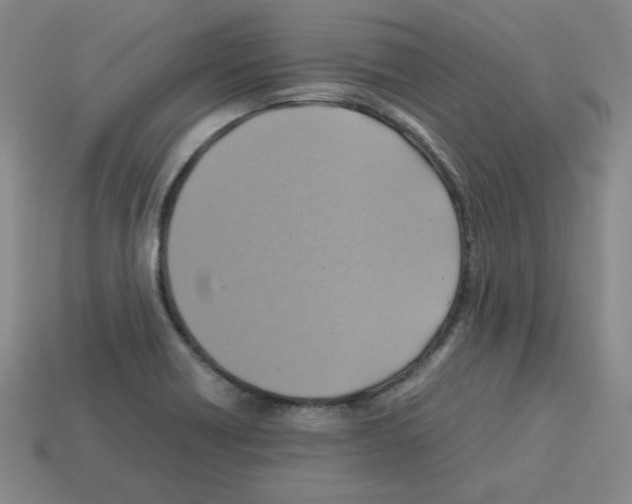 X0000112771418200910011227