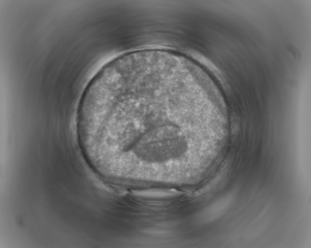 X0000112771423200910011227