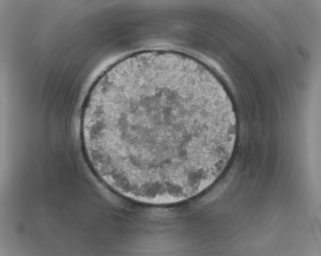 X0000112771424200910011227