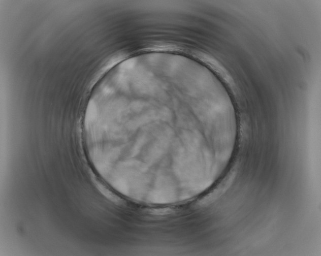 X0000112771425200910011227