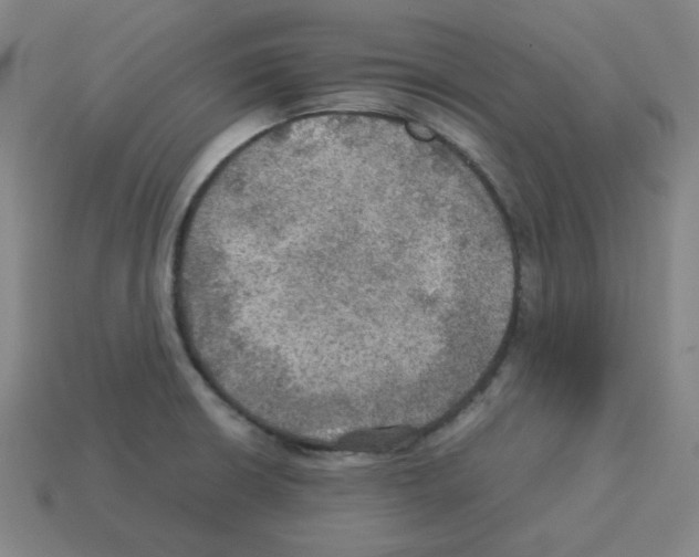 X0000112771426200910011227