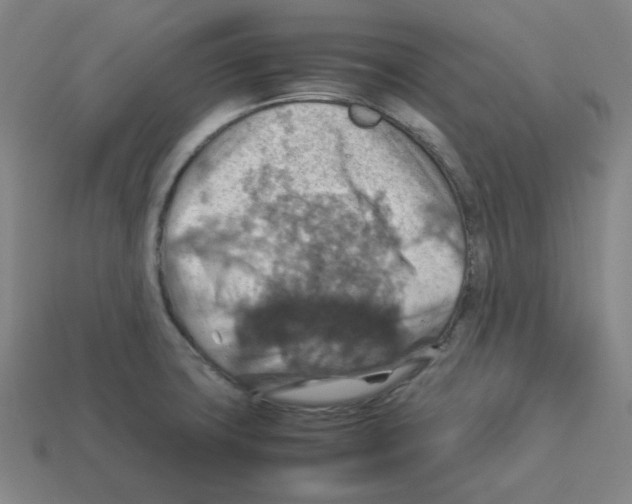 X0000112771427200910011227