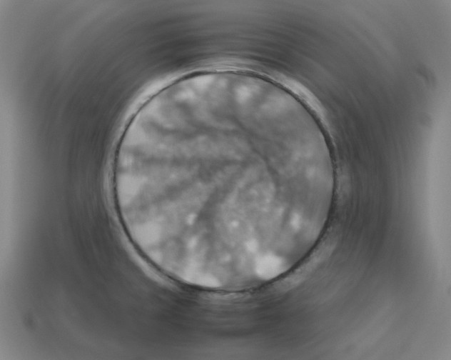 X0000112771429200910011227