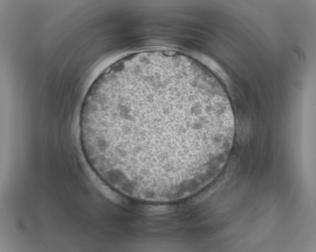 X0000112771431200910011227