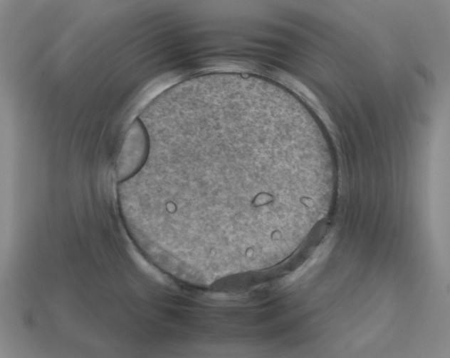 X0000112771433200910011227