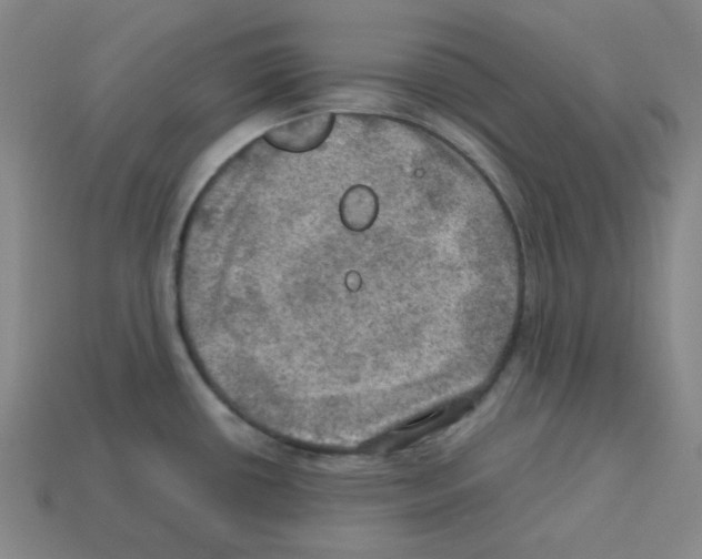 X0000112771434200910011227