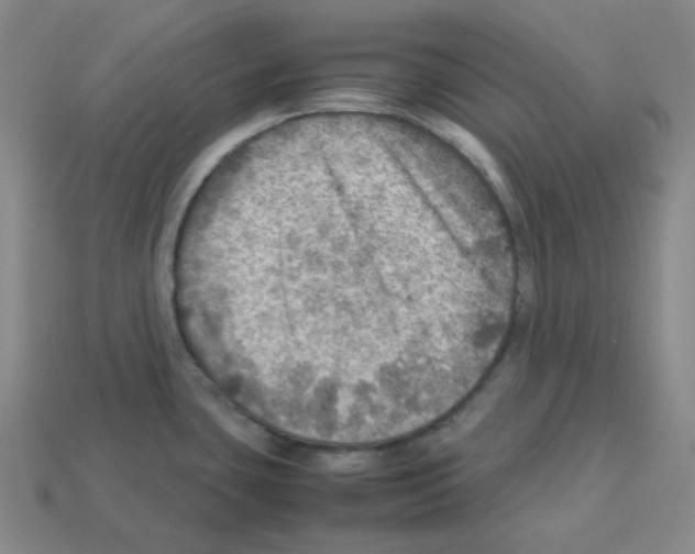 X0000112771435200910011227