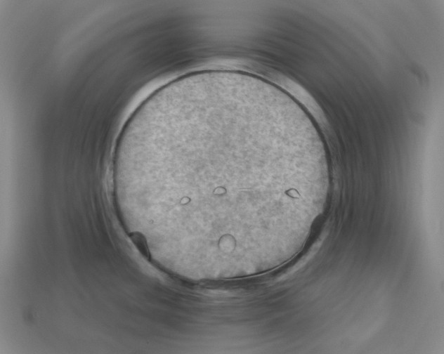 X0000112771436200910011227