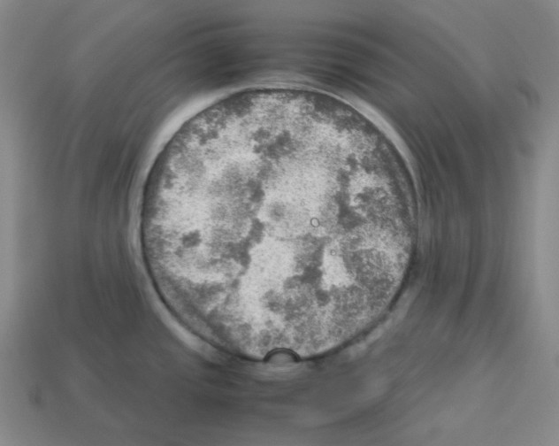 X0000112771437200910011227