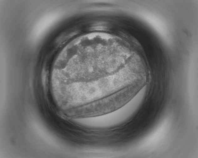 X0000112771438200910011227