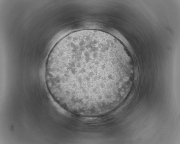 X0000112771439200910011227