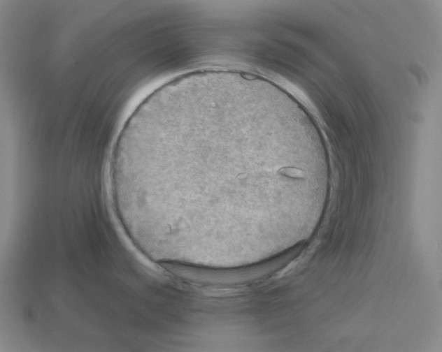 X0000112771440200910011227