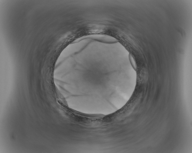 X0000112771441200910011226