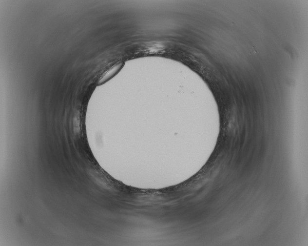 X0000112771442200910011226