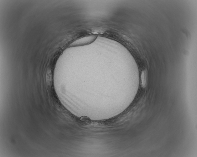 X0000112771443200910011226