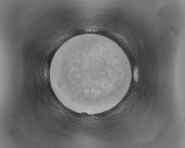 X0000112771444200910011226