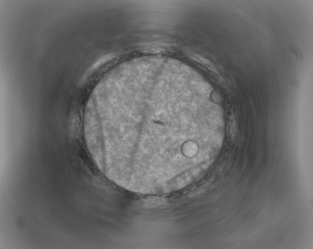 X0000112771446200910011226