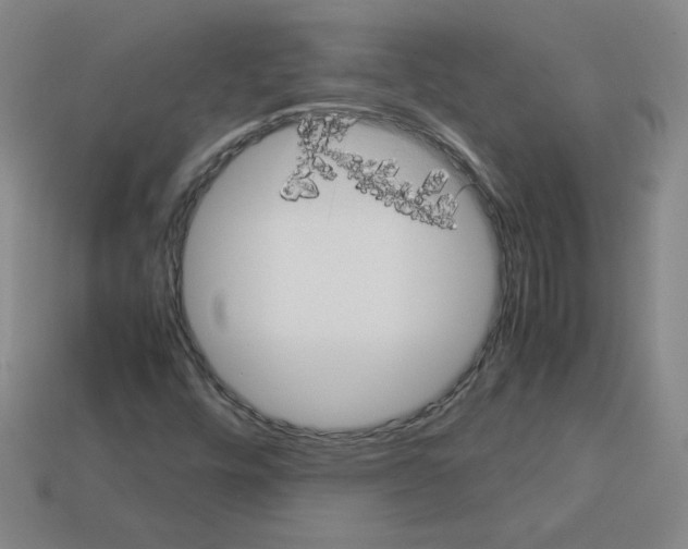 X0000112771448200910011226