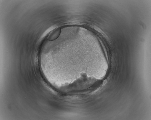 X0000112771450200910011226