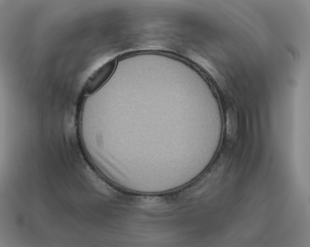 X0000112771452200910011226