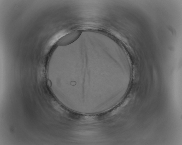 X0000112771453200910011226