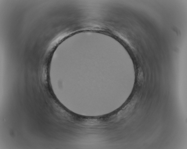 X0000112771455200910011226