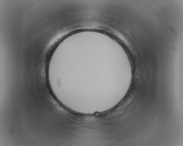 X0000112771456200910011226