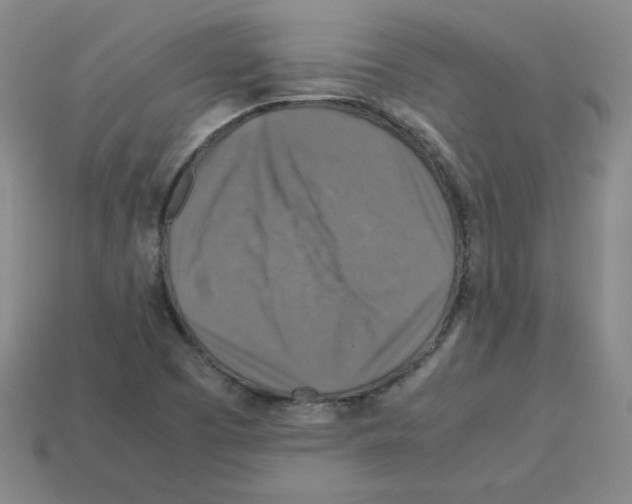 X0000112771457200910011226