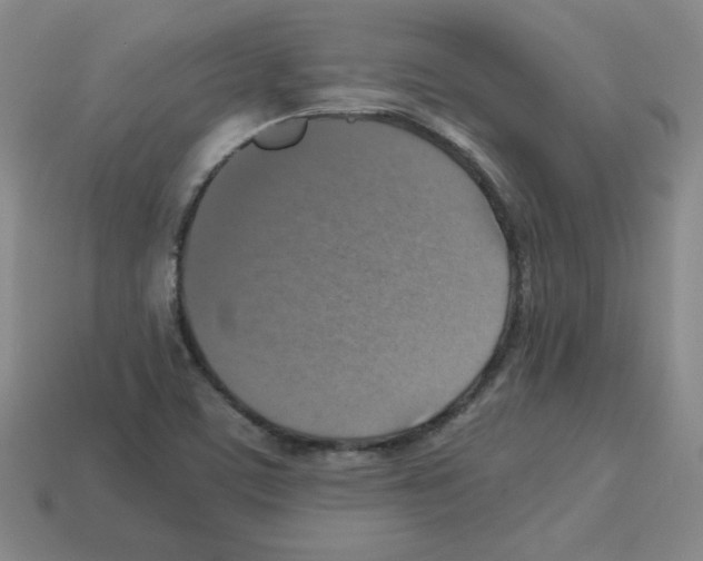 X0000112771459200910011226