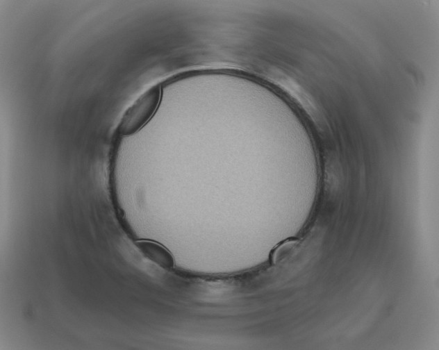 X0000112771460200910011226