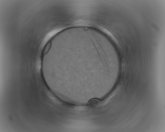 X0000112771461200910011226