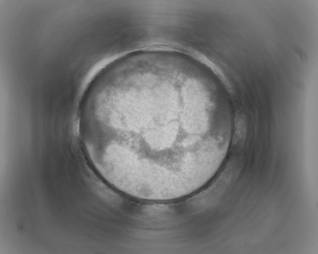 X0000112771462200910011226