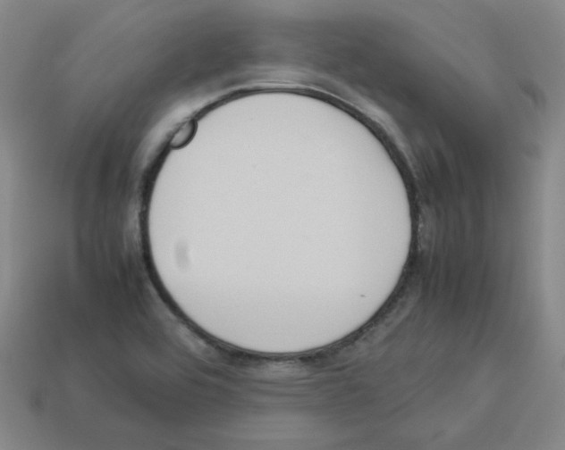 X0000112771464200910011226