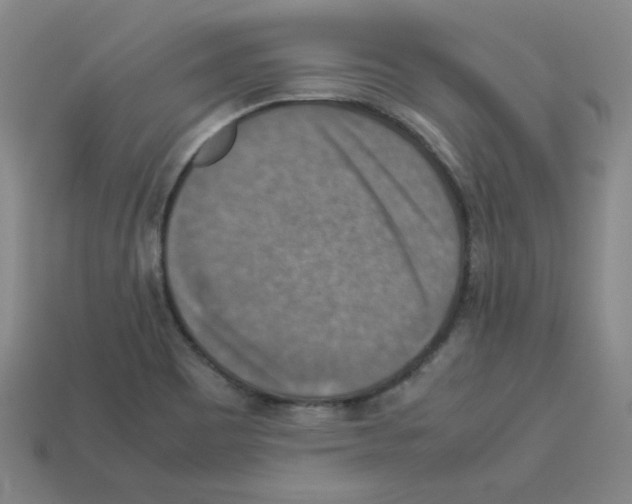 X0000112771465200910011226