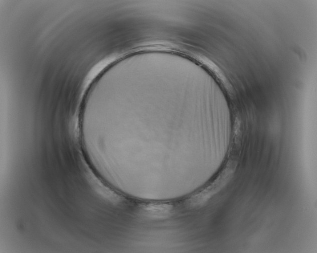 X0000112771466200910011226