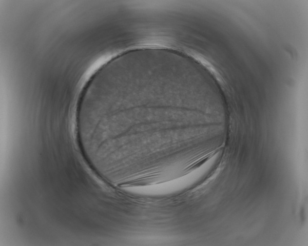 X0000112771469200910011226