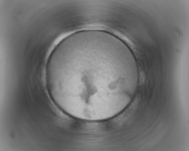 X0000112771470200910011226