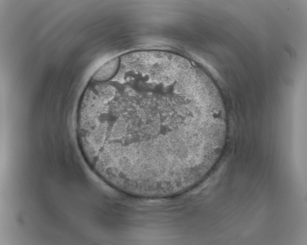 X0000112771471200910011226