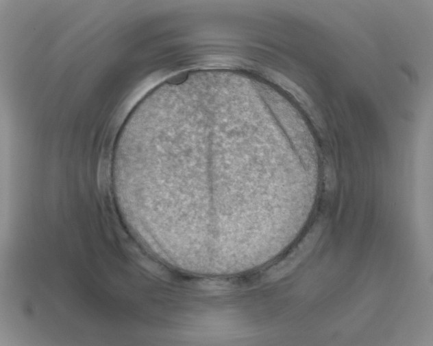 X0000112771473200910011226