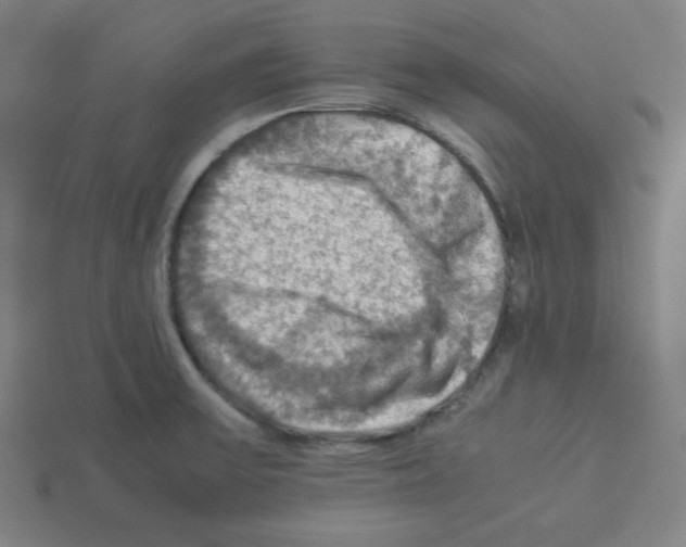 X0000112771475200910011226