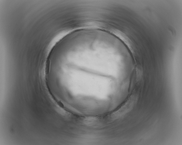 X0000112771477200910011226