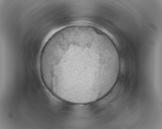 X0000112771478200910011226