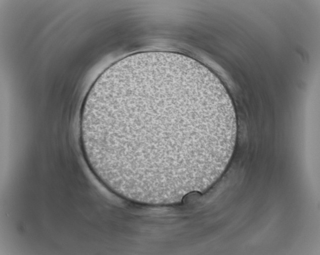 X0000112771479200910011226