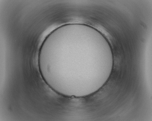 X0000112771480200910011226