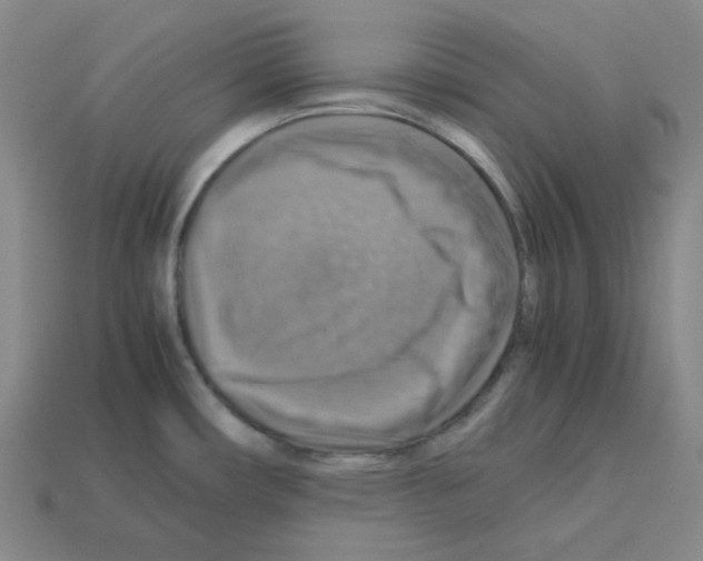 X0000112771482200910011226