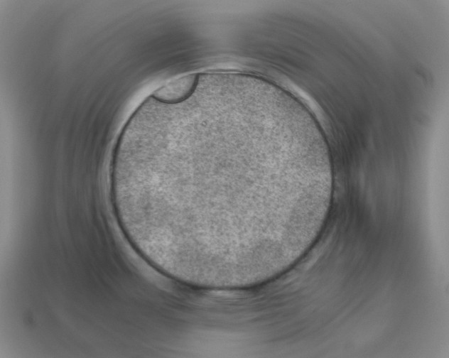 X0000112771483200910011226