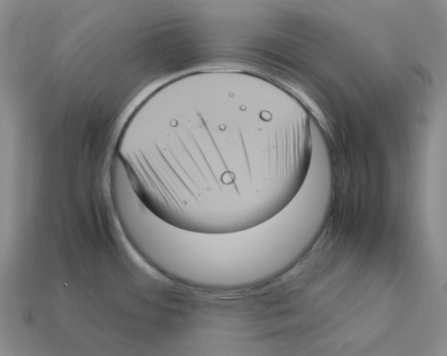 X0000112771484200910011226