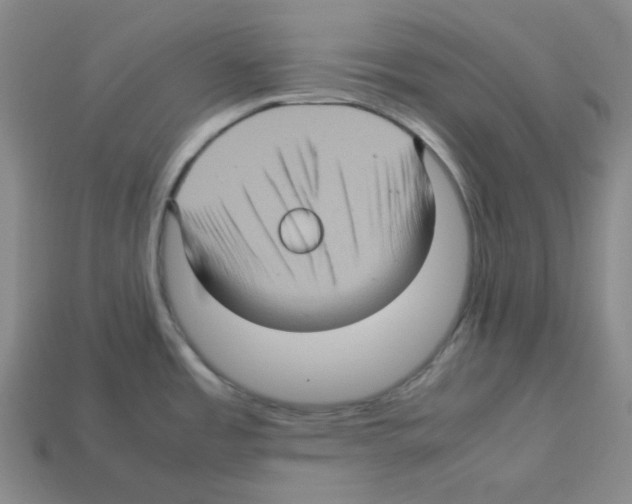 X0000112771485200910011226